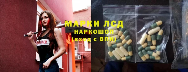 прущие грибы Абдулино