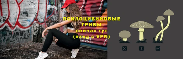 ПСИЛОЦИБИНОВЫЕ ГРИБЫ Алзамай