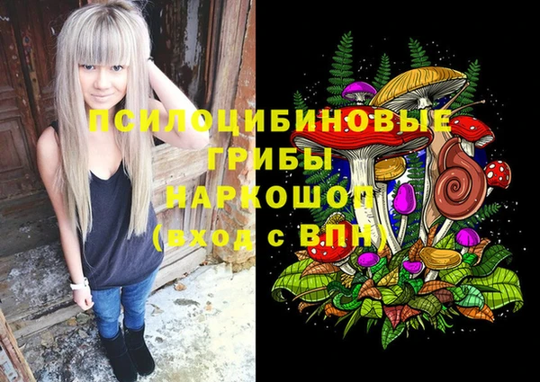 ПСИЛОЦИБИНОВЫЕ ГРИБЫ Алзамай
