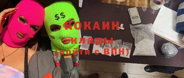 ПСИЛОЦИБИНОВЫЕ ГРИБЫ Алзамай