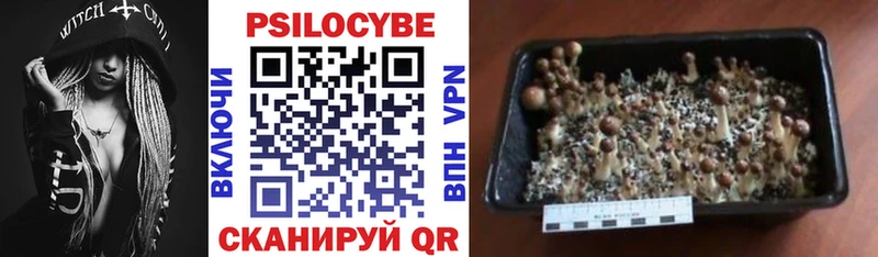 Галлюциногенные грибы мухоморы  кракен ТОР  сайты даркнета наркотические препараты  Советская Гавань 