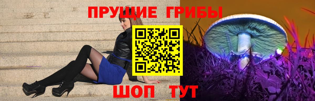 Советская Гавань  Галлюциногенные грибы Psilocybe  Вход с VPN 