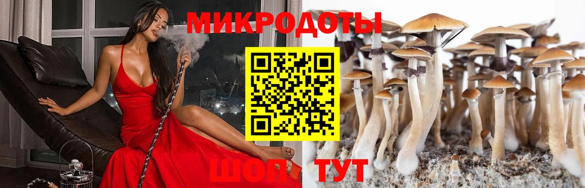 Псилоцибиновые грибы мухоморы Советская Гавань